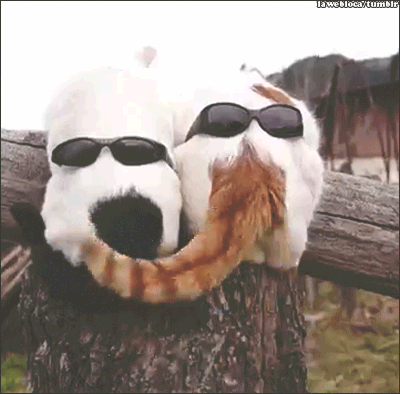 source.gif