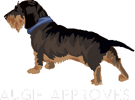 Dog Puppy Sticker by mgissinger