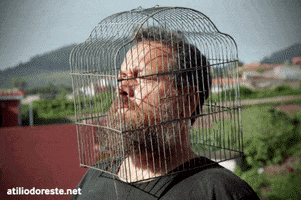Artesonoro GIF