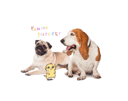 Nervous Dog GIF by Sarah Oh