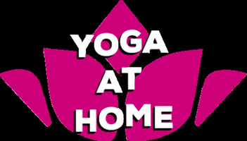 Yogashalasa yoga ashtanga yogaathome virtualyoga GIF