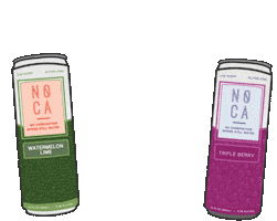 Noca Sticker by DrinkNOCA