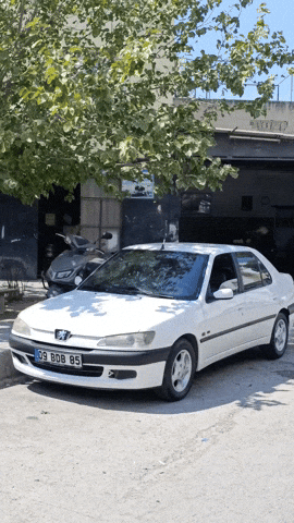 Peugeot GIF