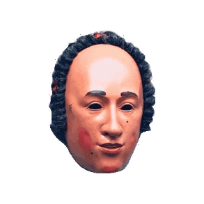 Narro Zunft Villingen Sticker