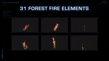 Forest Fires GIF by ActionVFX