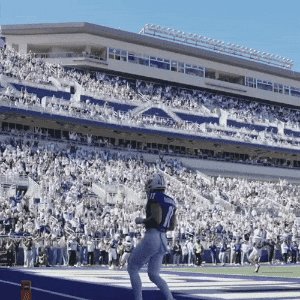 Football Celebrating GIF by JMUDukes