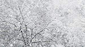 falling snow gif wallpaper