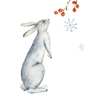 Advent Sticker by MarieClaireHun