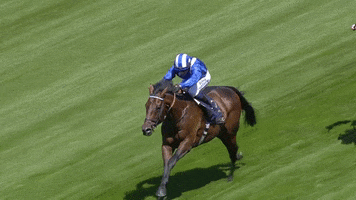 Sport Power GIF by World Horse Racing