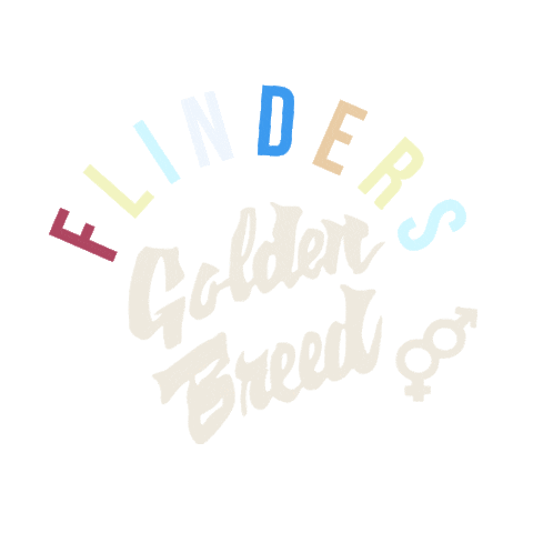 Golden Breed Sticker