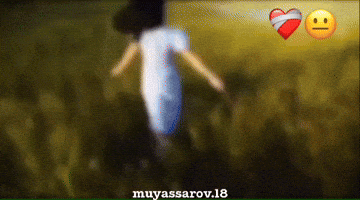 Money Vip GIF