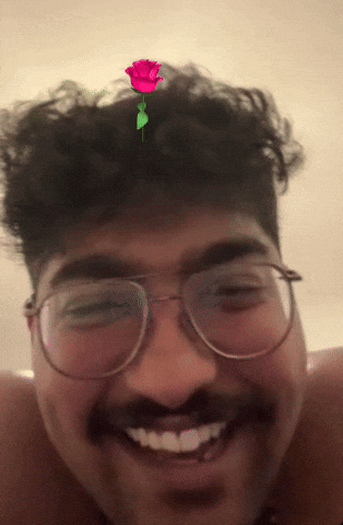 Ansonaleannandost GIF