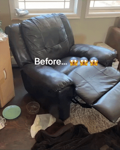 Interior Design Dog GIF by mammamiacovers