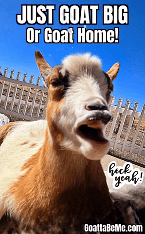 You Can Do It GIF by Goatta Be Me Goats! Adventures of Java, Toffee, Pumpkin and Cookie!