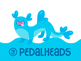 GIF by Pedalheads