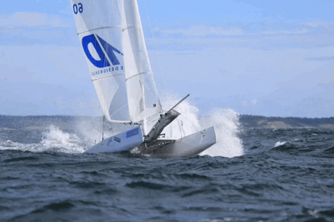 sailboat racing gif