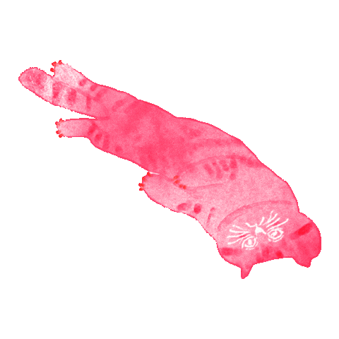 Cat Heart Sticker