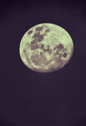 Moon GIF - Find & Share on GIPHY