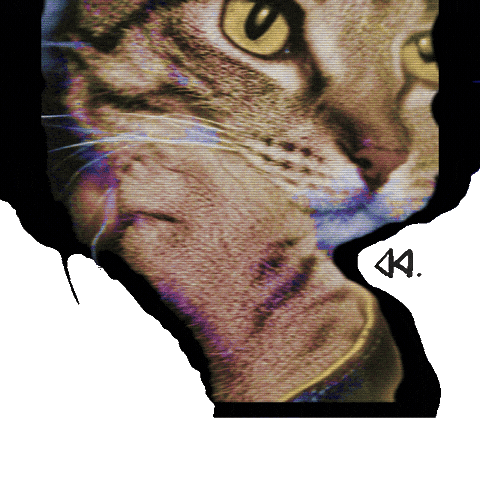 Cat Persona Sticker