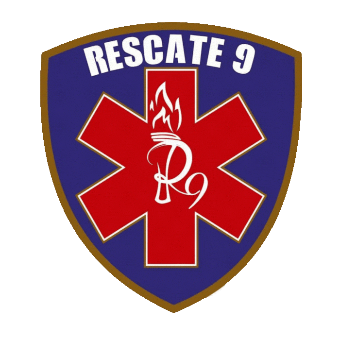 Sticker by Prepa9 UANL