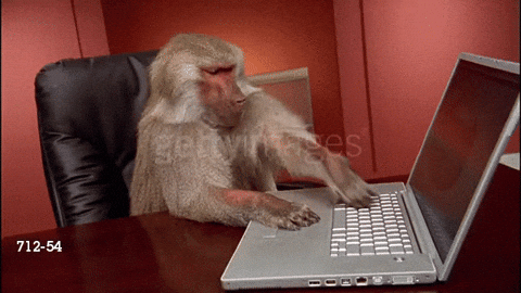 Monkey Keyboard GIFs - Find & Share on GIPHY