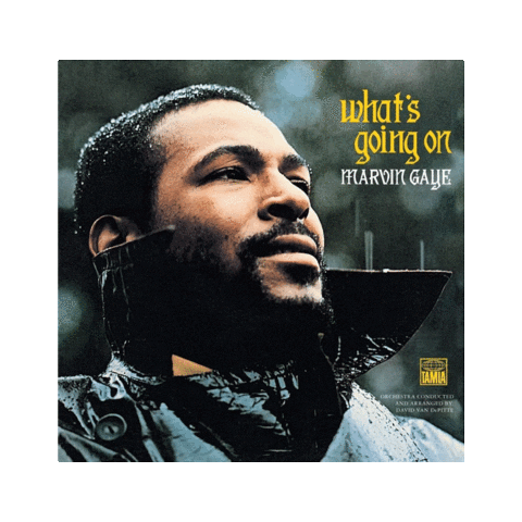 Whatsgoingon Sticker by Marvin Gaye