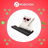 Piano Cat GIF by Musicasa