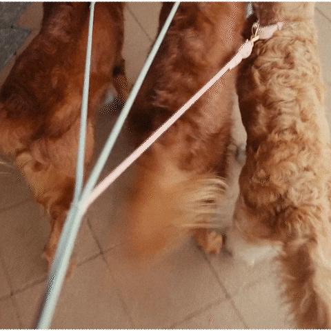 New Zealand GIF by Southern Cross NZ