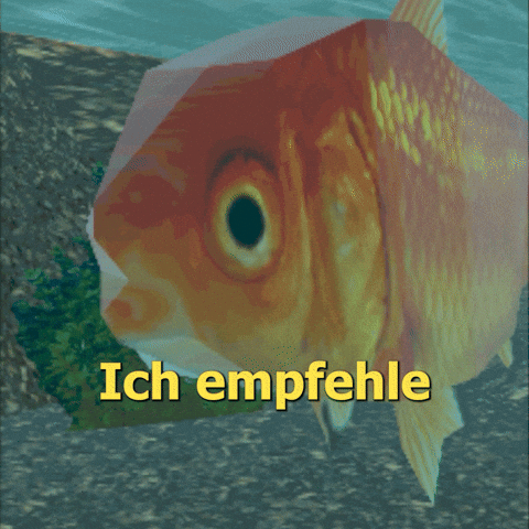 Goldfisch GIF