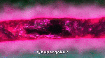 Dragon Ball Super Dbs GIF