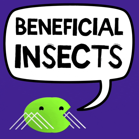 DMV Beneficials GIF