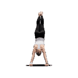 Ntv Sticker by Seinäjoenvoimistelijat