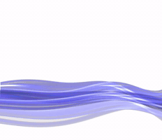 Zen Digital Media GIF