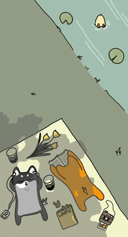 Shiba GIF by OHAYOTEA