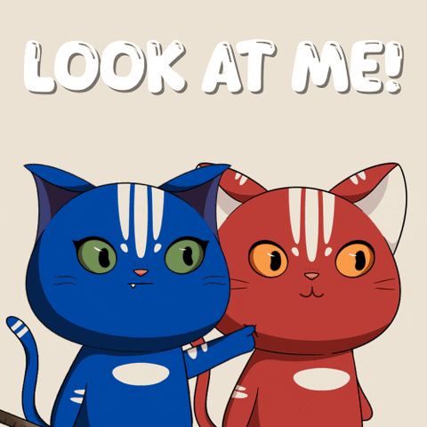 Happy Cats GIF by Kitaro World