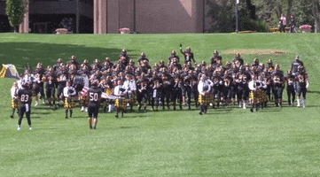 Fighting Scots GIF by The College of Wooster