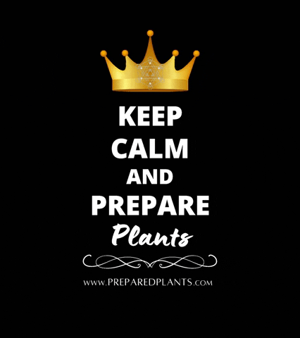 Prepared Plants GIF