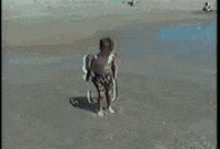 beach day GIF