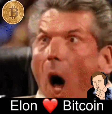 Elon Bitcoin Meme GIF by Bitcoin & Crypto Creative Marketing