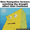 New Hampshire farmers spongebob meme