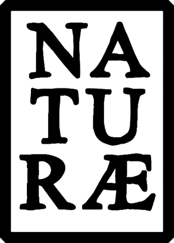 Naturæ Gin Sticker