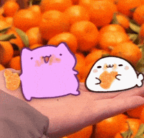 Vitamin C Fruit GIF