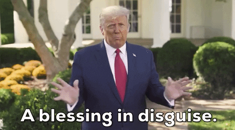 giphy.gif?cid=6c09b952x9l9aqm4kzpcw8xksa