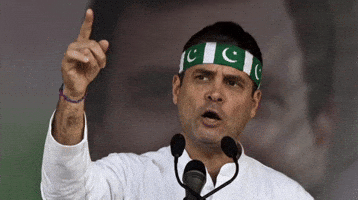 Rahul Gandhi India GIF