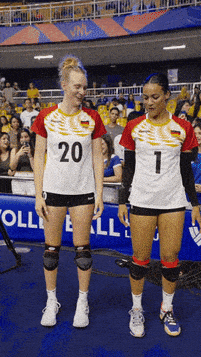 volleyball meme gif