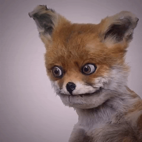 Digital art gif. An animated Stoned Fox moves its eyes slowly from left to right before opening its anthropomorphic mouth and saying, "Daaamn," which appears as text.