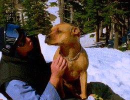 Peterline GIF by Forum Snow