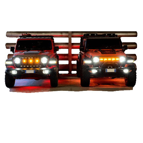 Shark E-Motors Sticker