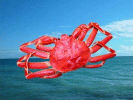 crab GIF by Shaking Food GIFs