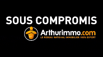 Arthur Immobilier GIF by Arthurimmo.com